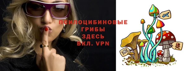 эйфоретик Алексин