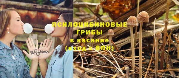 эйфоретик Алексин