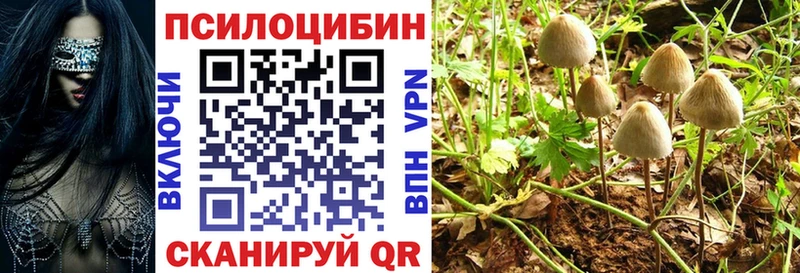гидра как зайти  цена наркотик  Устюжна  Галлюциногенные грибы Psilocybine cubensis 